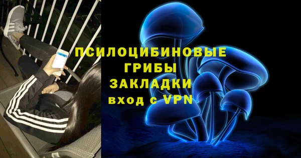 ПСИЛОЦИБИНОВЫЕ ГРИБЫ Бронницы